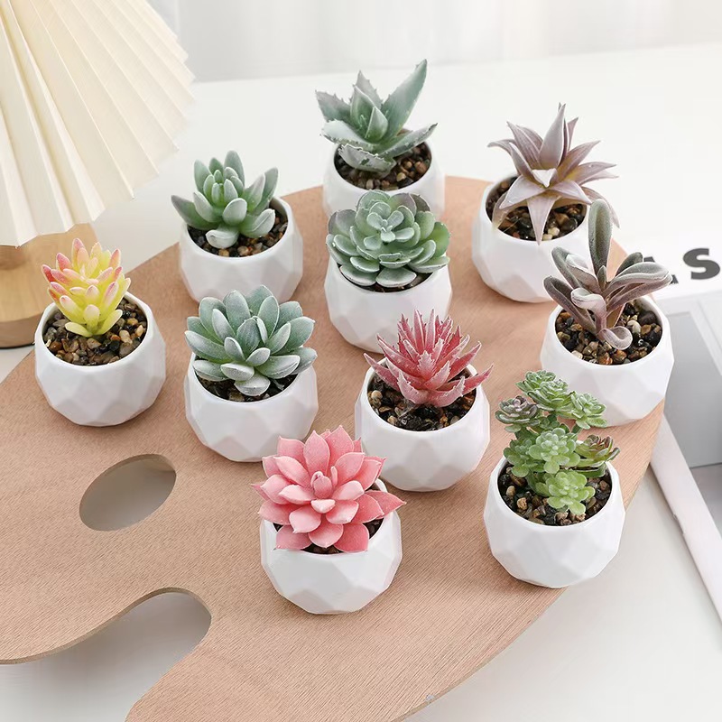 Cactus Mix Pot - نباتات اصطناعية صغيرة محاكاة صبار عصاري