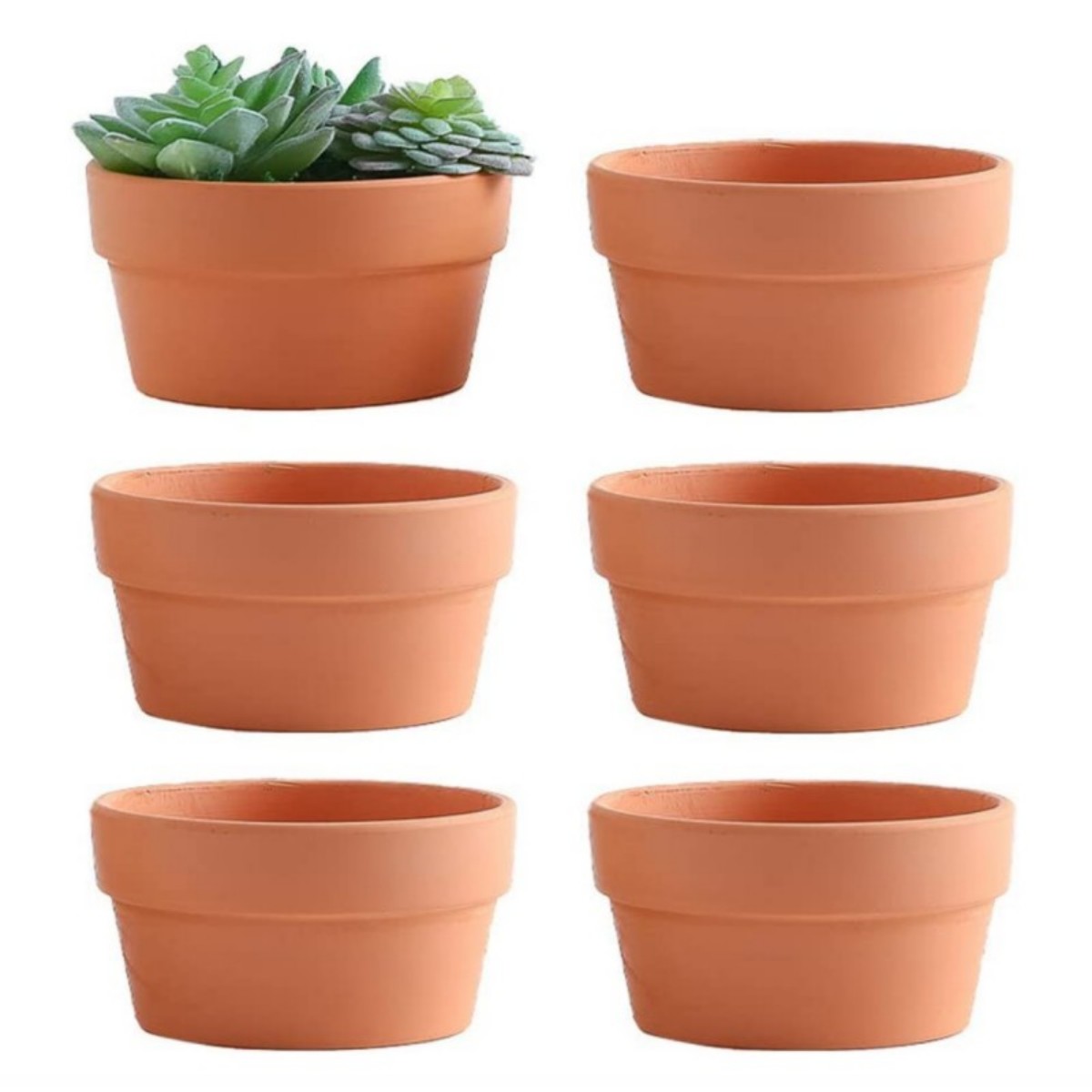 Cactus Mix Pot - وعاء الطين الطين مع ثقب الصرف