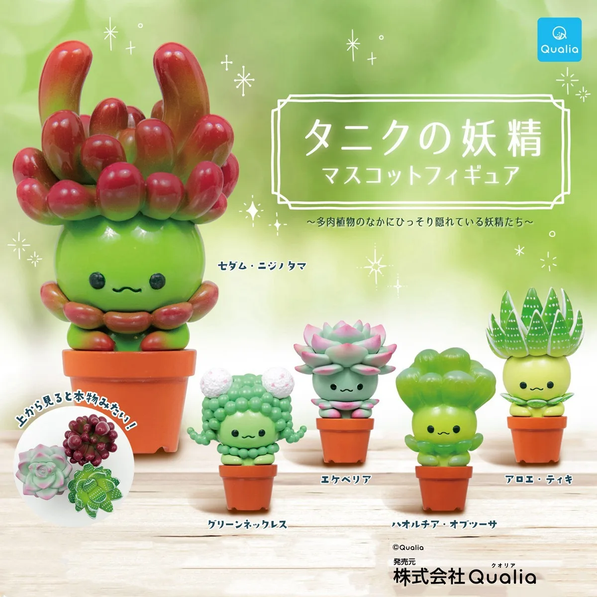 Cactus Mix Pot - مجسمات كواليا كاواي غاشابون الأصلية، نباتات