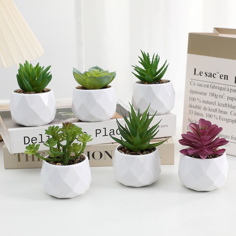 Cactus Mix Pot - نباتات صبار اصطناعية دائمة الخضرة، نباتات