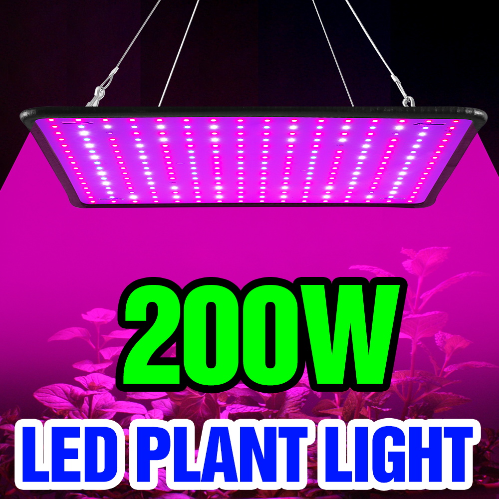 Cactus Mix Pot - مصباح نمو نباتات LED كوانتم بورد