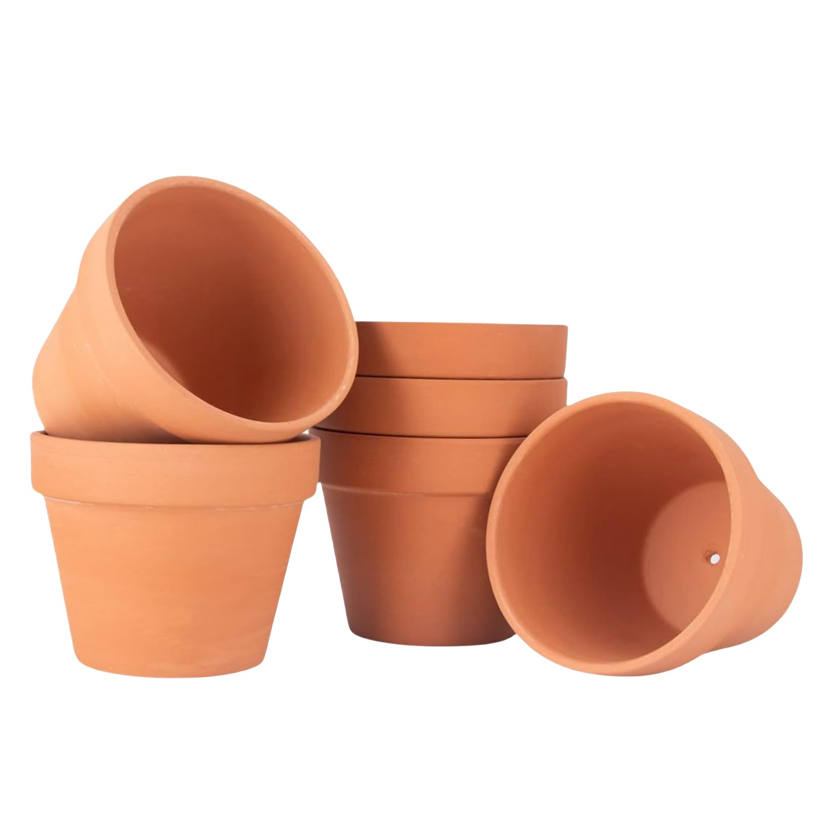6 قطعة 4 بوصة أواني الطين أوان - مراجعة Cactus Mix Pot وسعره
