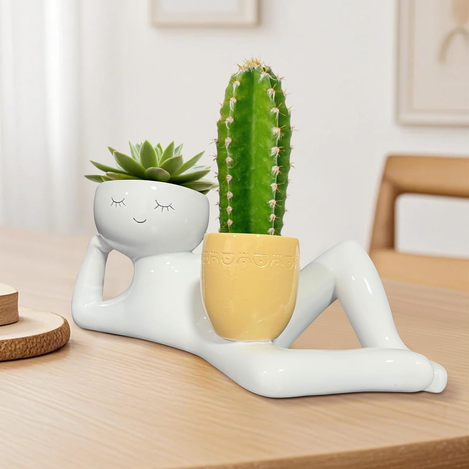 وعاء زرع فريد بتصميم الرجل الك - مراجعة Cactus Mix Pot وسعره