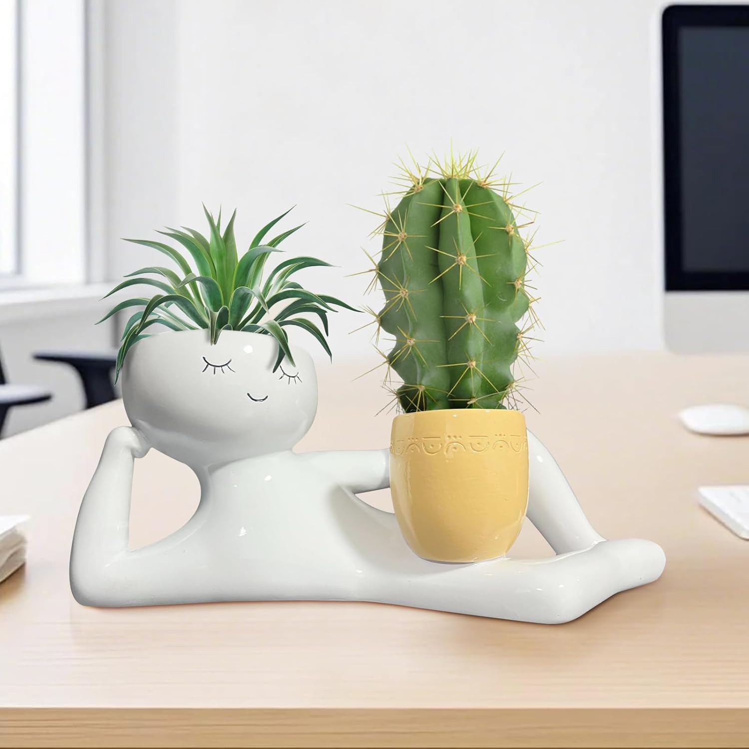 وعاء زرع فريد بتصميم الرجل الك - مراجعة Cactus Mix Pot وسعره