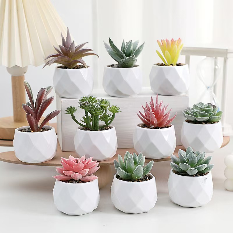 نباتات اصطناعية صغيرة محاكاة ص - مراجعة Cactus Mix Pot وسعره