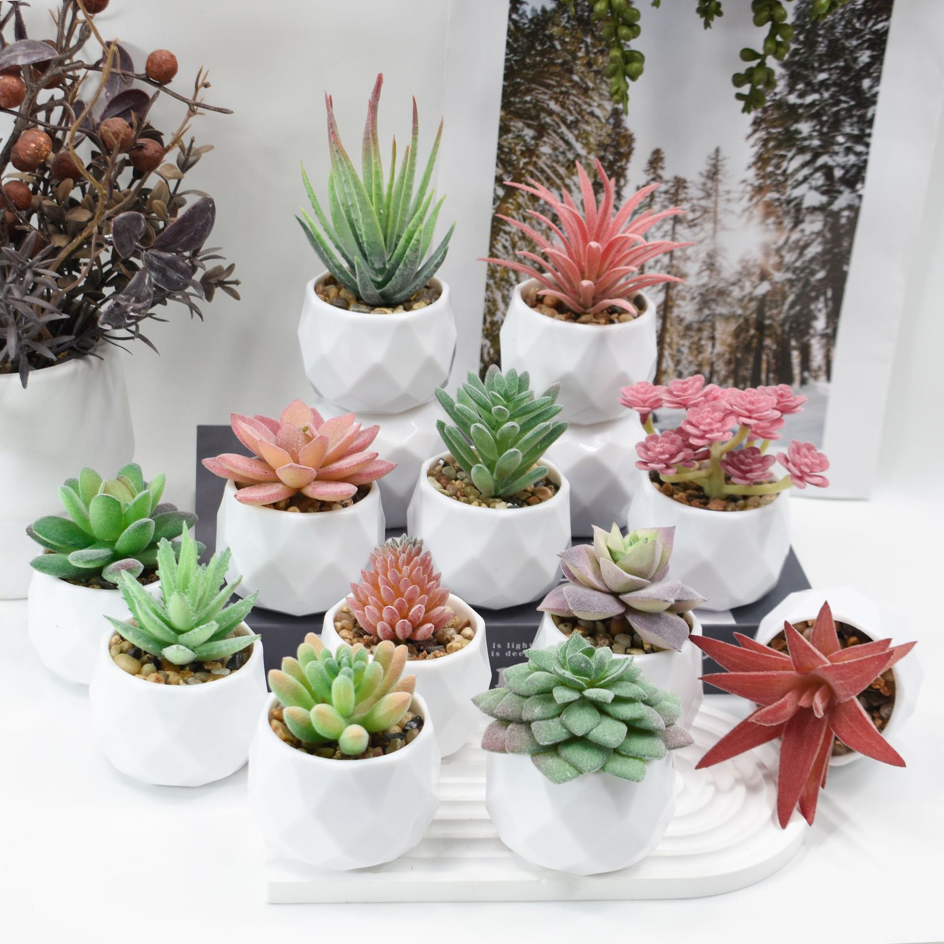 نباتات اصطناعية صغيرة محاكاة ص - مراجعة Cactus Mix Pot وسعره