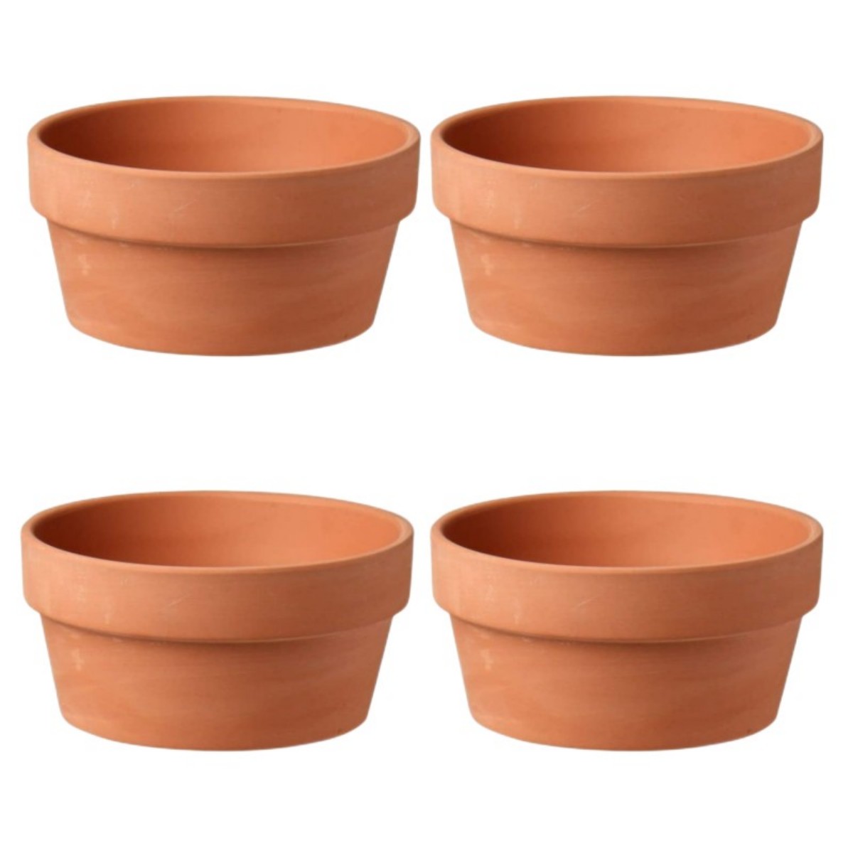 وعاء الطين الطين مع ثقب الصرف  - مراجعة Cactus Mix Pot وسعره