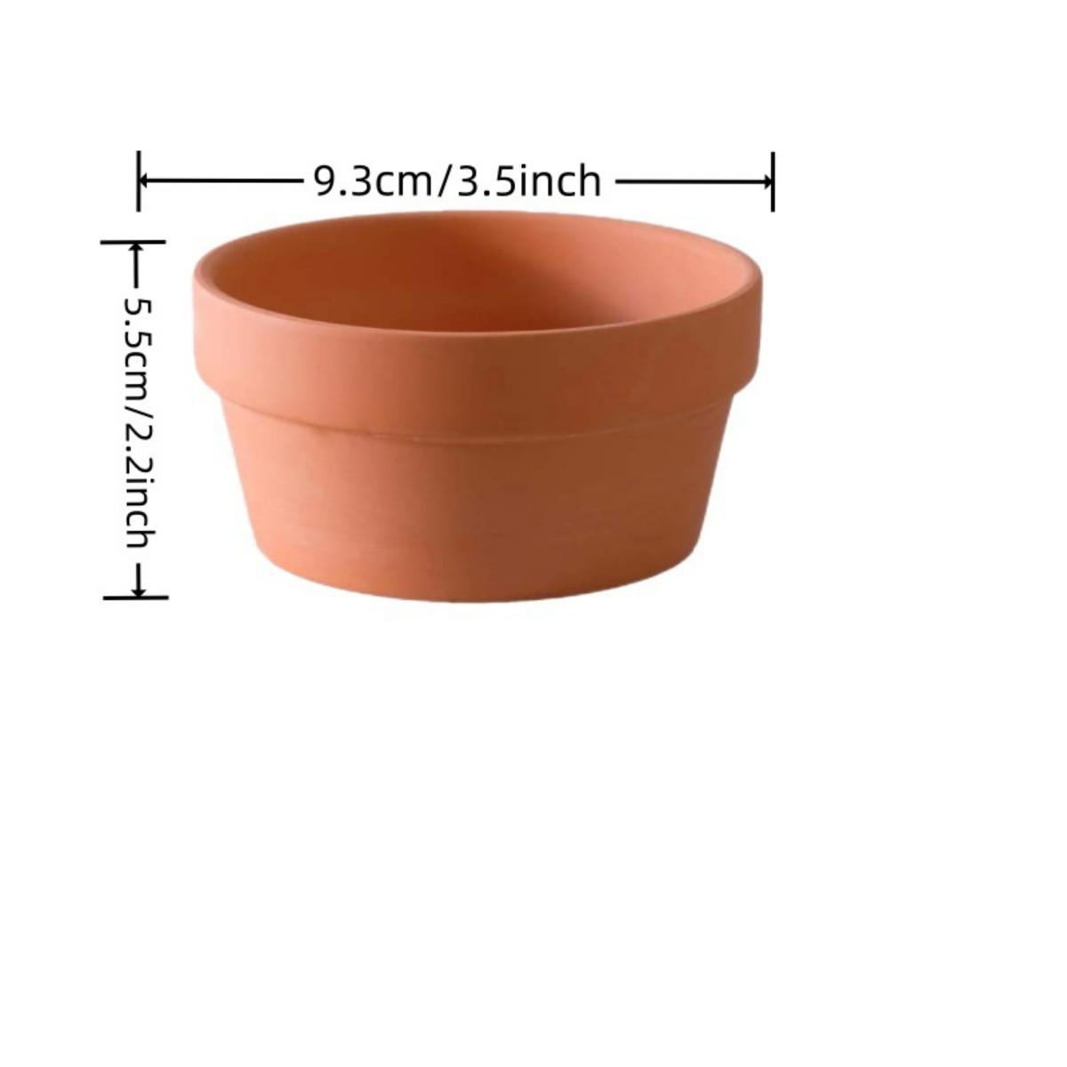 وعاء الطين الطين مع ثقب الصرف  - مراجعة Cactus Mix Pot وسعره