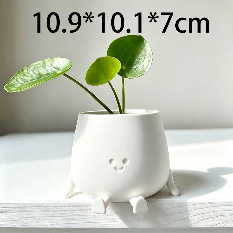 وعاء نباتات بتصميم وجه مبتسم ث - مراجعة Cactus Mix Pot وسعره