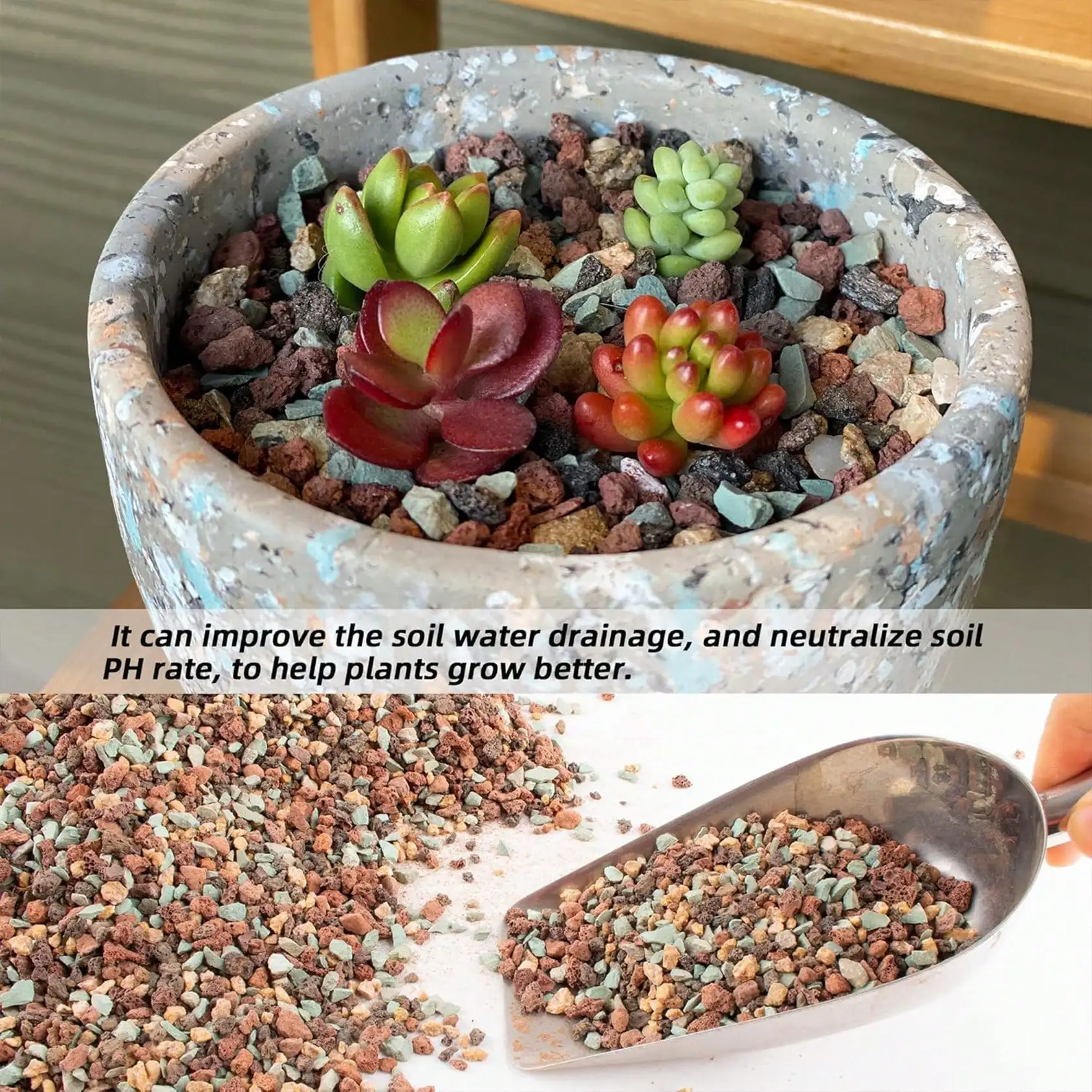 مزيج الحمم البركانية البستانية - مراجعة Cactus Mix Pot وسعره