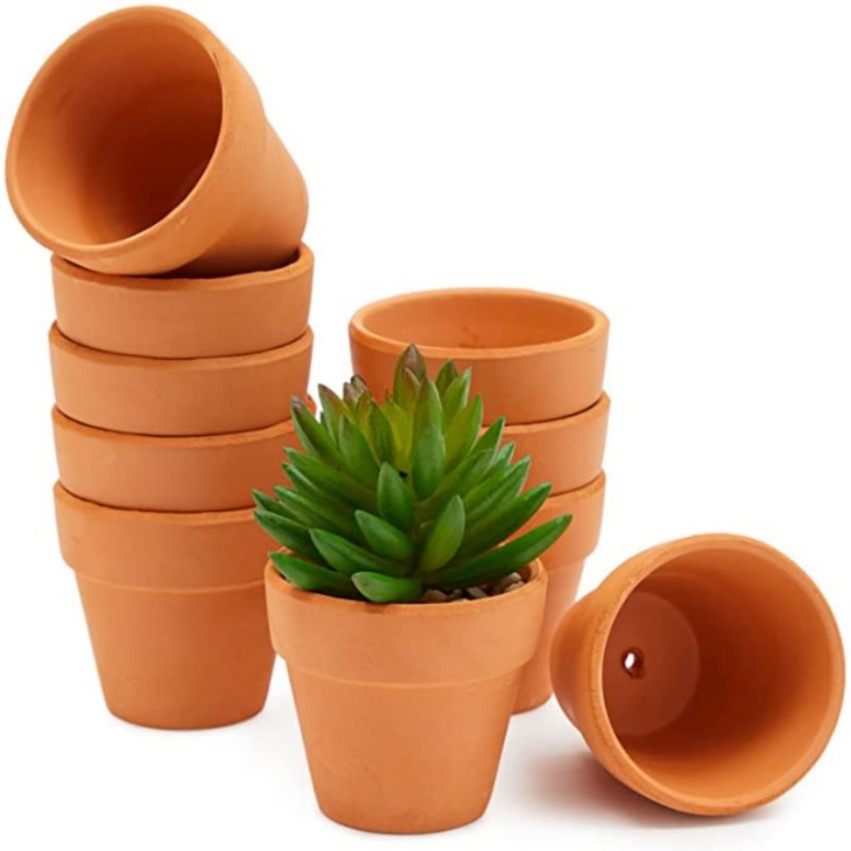 16 قطعة 1.8 بوصة أواني تيرا كو - مراجعة Cactus Mix Pot وسعره