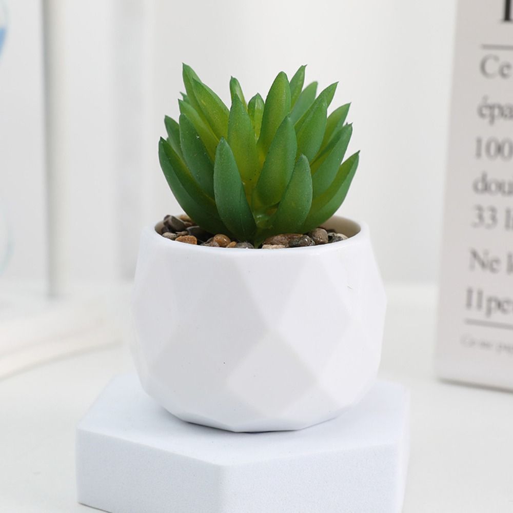 نباتات صبار اصطناعية دائمة الخ - مراجعة Cactus Mix Pot وسعره