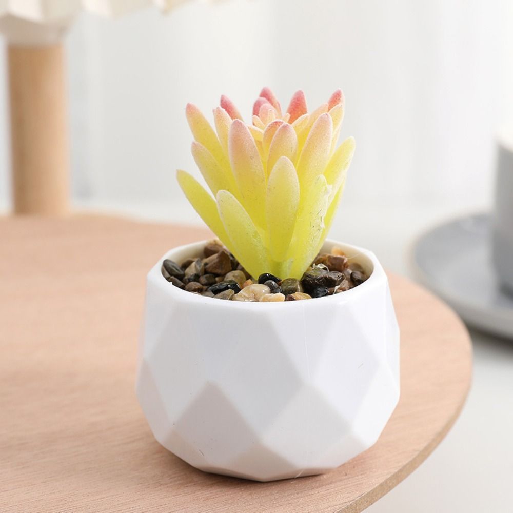 نباتات صبار اصطناعية دائمة الخ - مراجعة Cactus Mix Pot وسعره