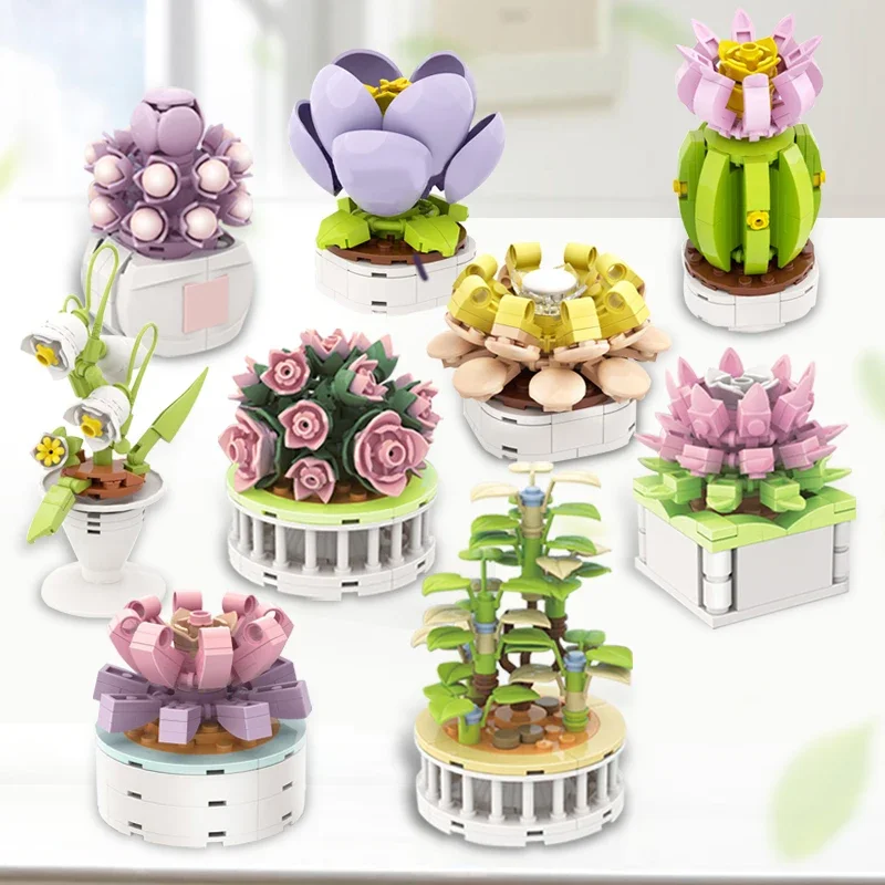 مجموعة مكعبات بناء مدينة البلو - مراجعة Cactus Mix Pot وسعره