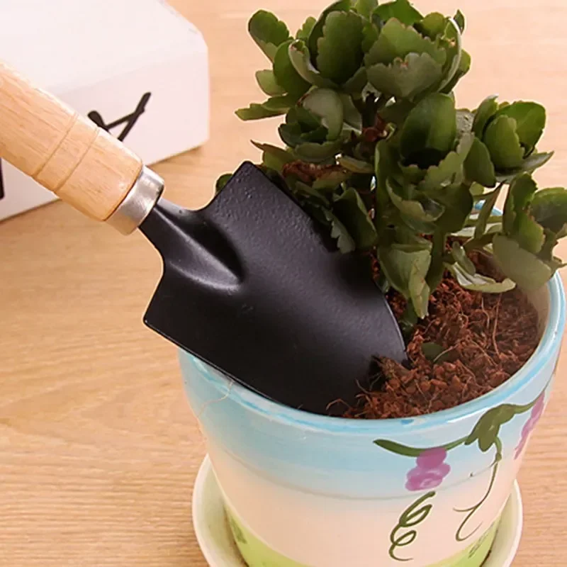 3 قطعة/المجموعة حديقة صغيرة أد - مراجعة Cactus Mix Pot وسعره