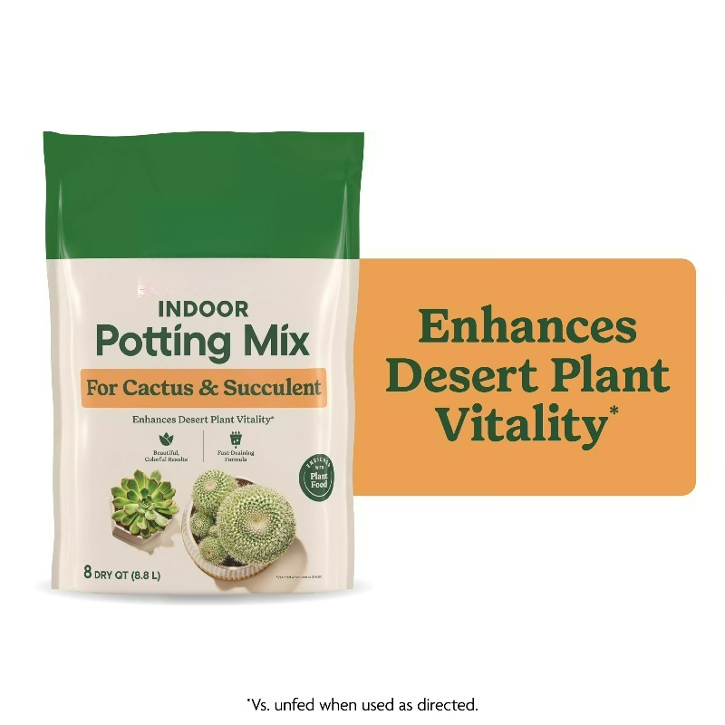 (عبوة من قطعتين) خليط تربة للز - مراجعة Cactus Mix Pot وسعره