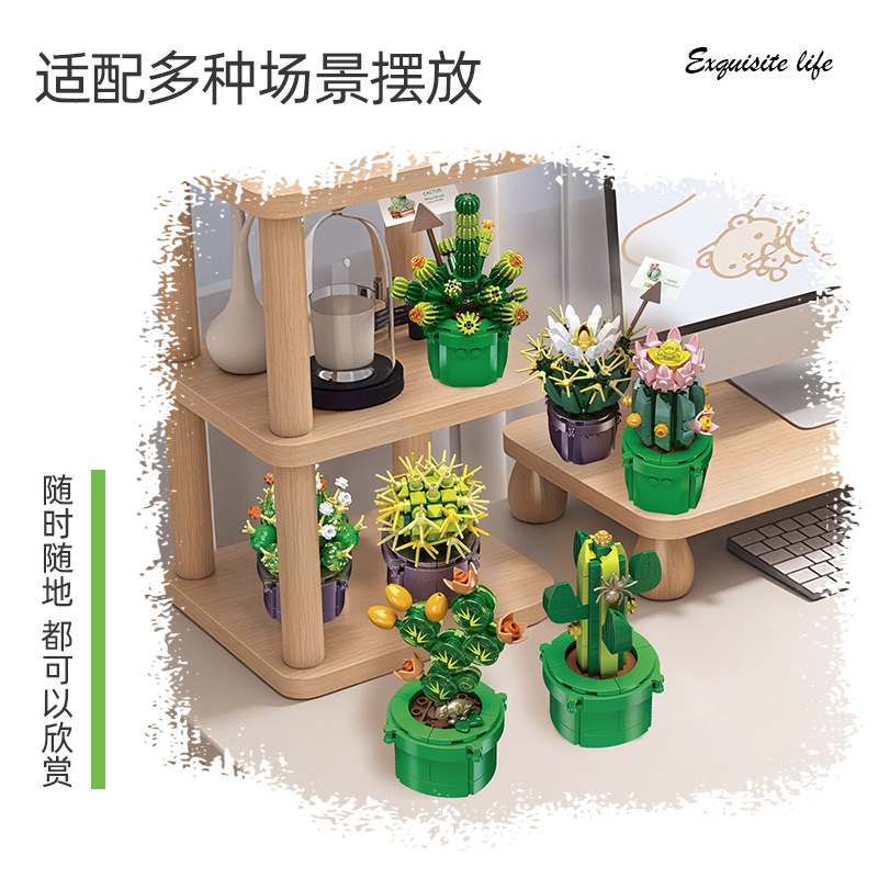 JIE-STAR JJ9175 نبات الصبار ال - مراجعة Cactus Mix Pot وسعره